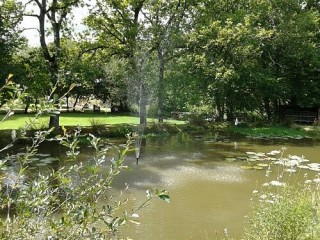 Stunning countryside cottage, outdoor swimming pool, studio appartment and small lake, 250,000.00 €, Saint-allouestre, Morbihan, 56500